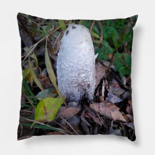 Shaggy Mane Pillow