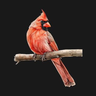 Cardinal Bird Inspired Paradise T-Shirt