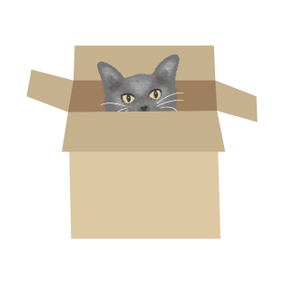 Cat in the box T-Shirt