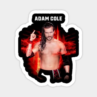 Adam Cole Magnet