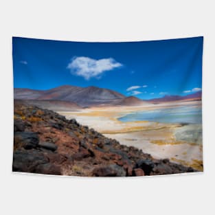 Atacama Salt Lake Tapestry