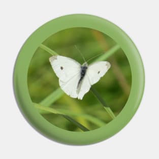 Cabbage White Butterfly-1 Rd Pin