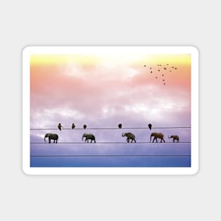 Elephants on the Wires Magnet