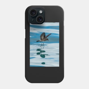 White-vented Storm-petrel Galápagos Islands Phone Case