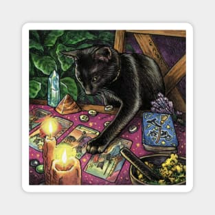 Black Cat Reading Tarot Magnet