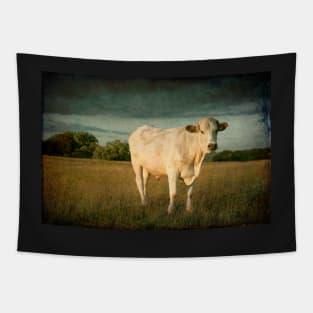 Bullock#7 Tapestry