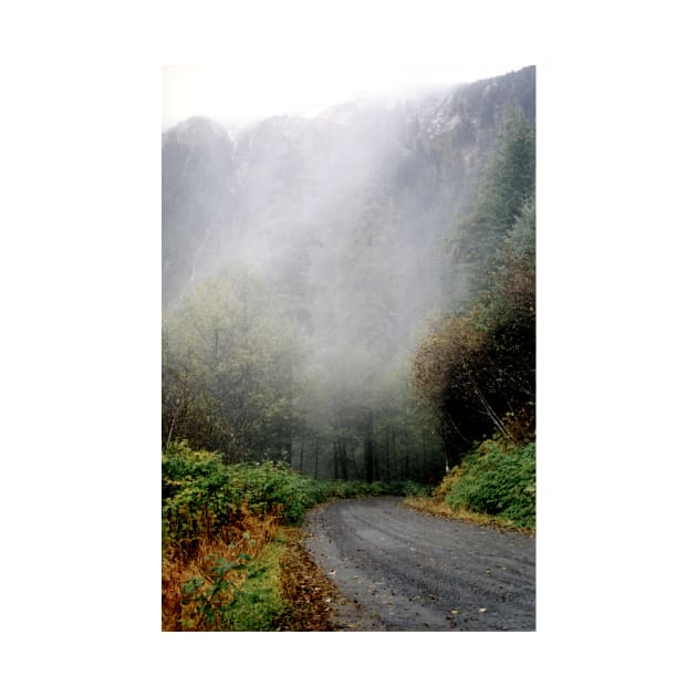 Foggy Mountain Road by tgass