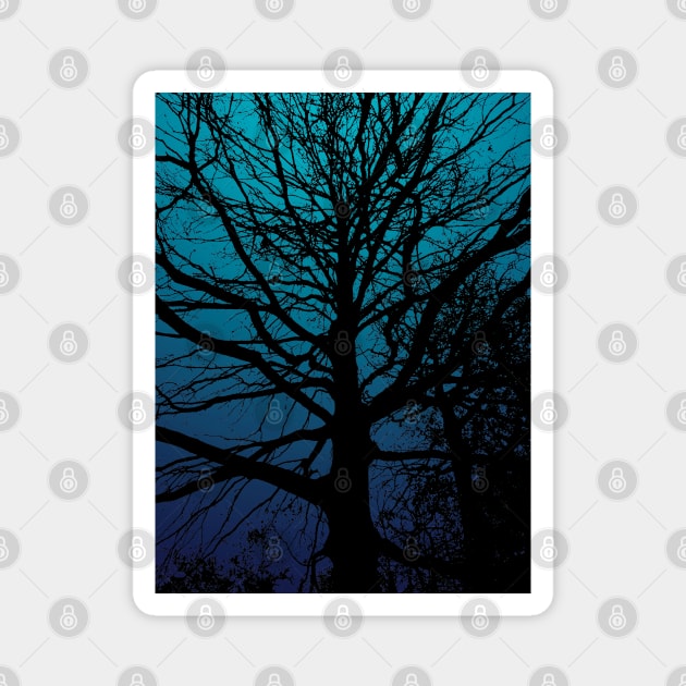 Tree silhouette on blue gradient background in the evening Magnet by Blacklinesw9