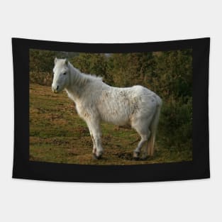 Forest Pony Tapestry