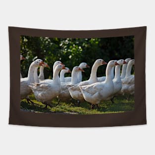 Gaggle walking Tapestry