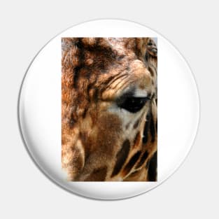 African Giraffe Amelopardalis Giraffa Pin