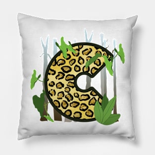 Fierce Letters, C Pillow