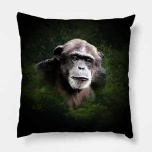 Chimpanzee Pillow