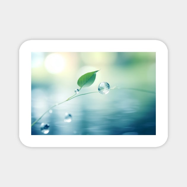 Leaf Water Drop Nature Serene Tranquil Magnet by Cubebox