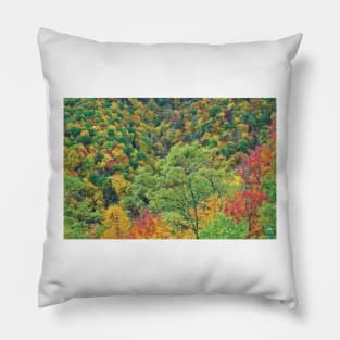 Autumn Forest Steestachee Bald Overlook Blue Ridge Parkway Pillow