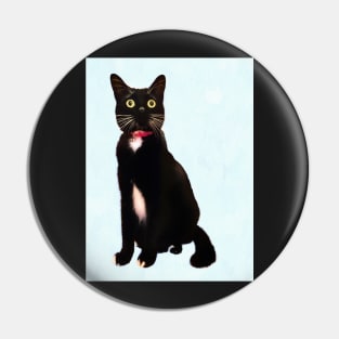 Black and White Tuxedo Cat Pin