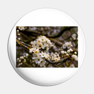 Springtime blossom Pin