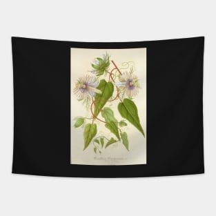 Passion Flower - Passion Vine botanical illustration Tapestry