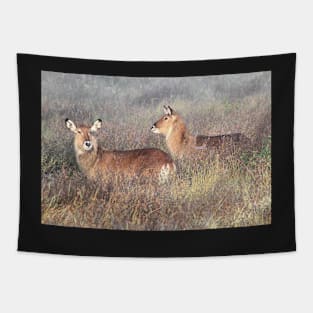 De Fassa Waterbuck Tapestry