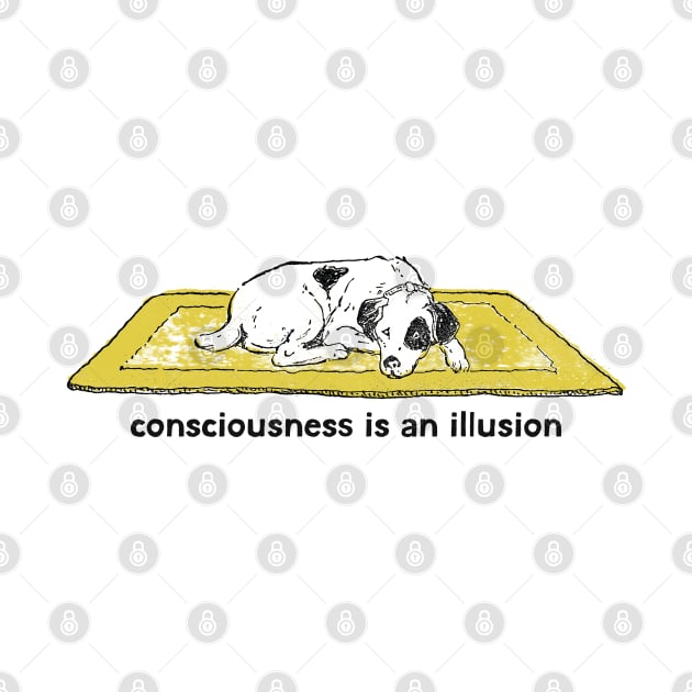 Consciousness Is An Illusion by DankFutura