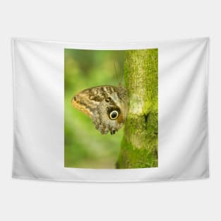 cbs owl butterfly Tapestry