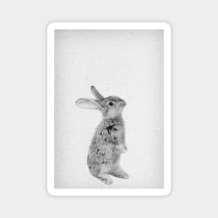 Rabbit 11 Magnet