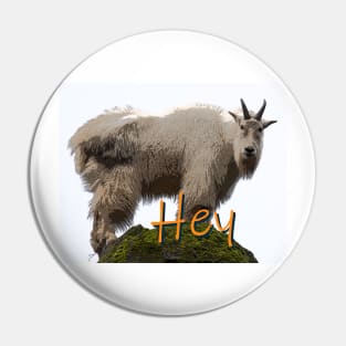 Hey Goat How Goes It? Pin