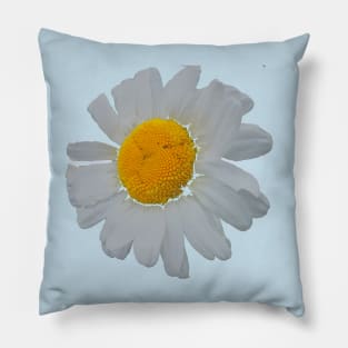 Daisy: Natural Mandala Pillow