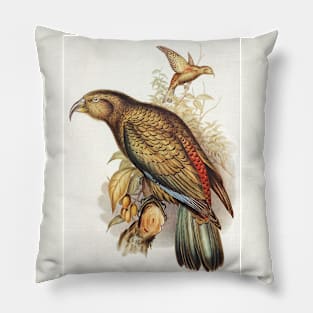 Kea Parrot Pillow