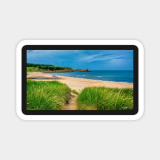 Beach at Margaree Harbour 02 Magnet