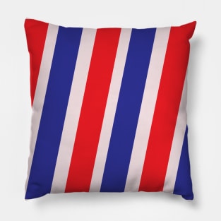 Red and Blue vertical strips Abstract Art Pillow