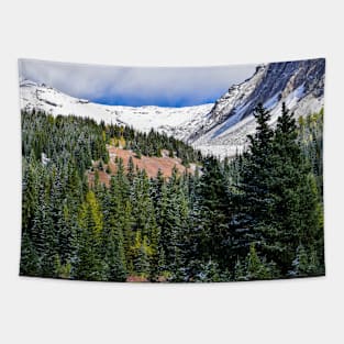 Snow up High. Tapestry