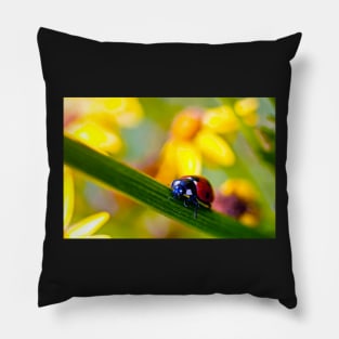 Ladybird on Ragwort Pillow