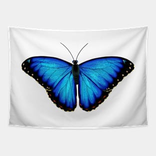 Blue Morpho Tapestry