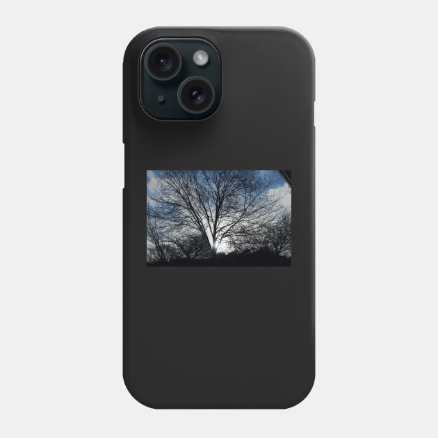 Tree in wintertime Phone Case by robelf