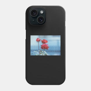 Roses bloom in winter too Phone Case