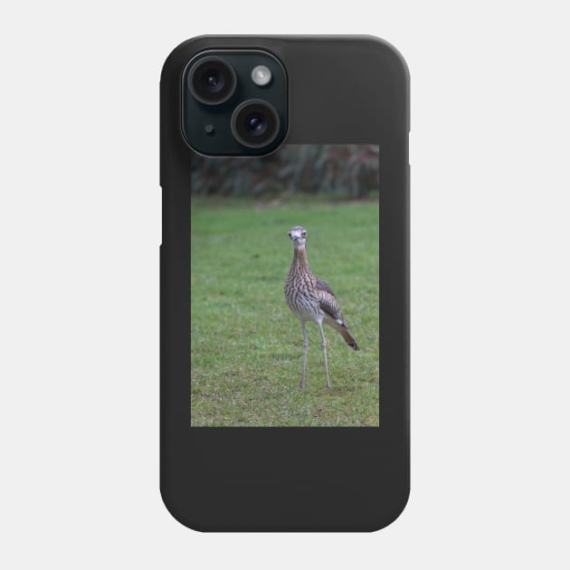 Stone Curlew Phone Case by Withns