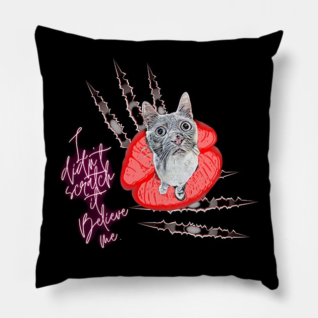 mischievous cat- I didn't scratch it. Believe me. Pillow by Smiling-Faces