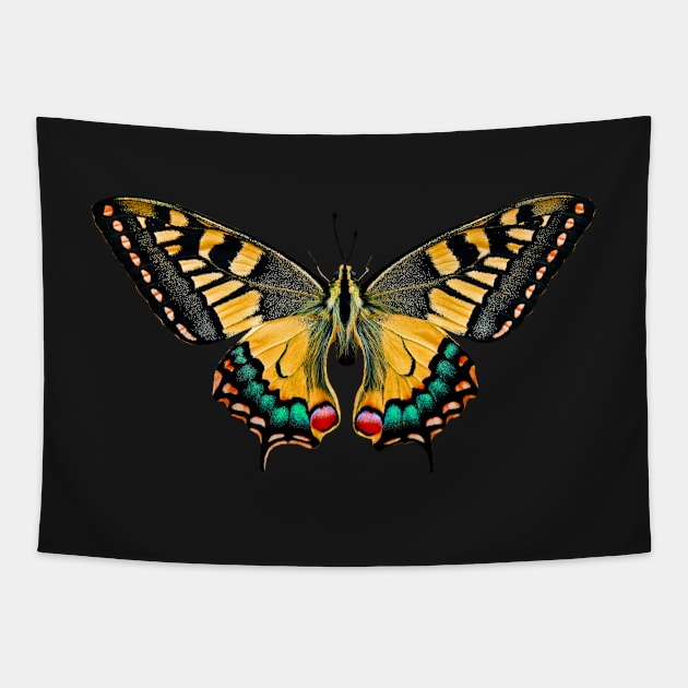 Special Colourful Butterfly | Entomology Lover Tapestry by gronly