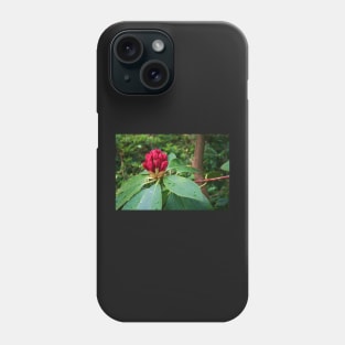 Rhododendron In Bud Phone Case