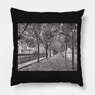 Autumn Street Scene, 1899. Vintage Photo Pillow