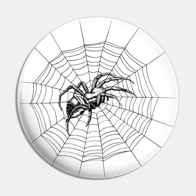 Spider Web Arachnophobia Bugs Halloween Gifts Pin by Funny Stuff Club