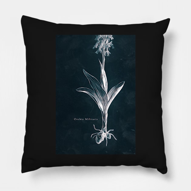 Cyanotype - Orchis Militaris - C Pillow by PixelHunter