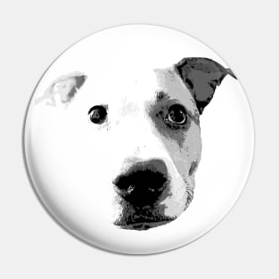 Pitbull Love Shirt Pin