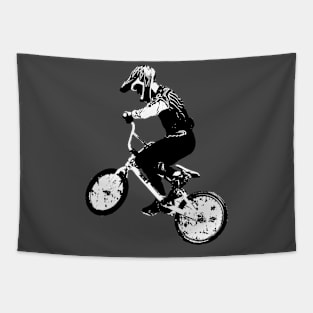 bmx Tapestry