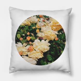 Rose Garden Pillow