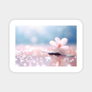 Flower Water Drop Nature Serene Tranquil Magnet