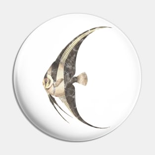 Fish illustration Pin