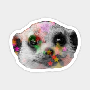 Meerkat Disco Magnet