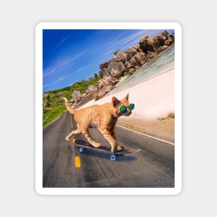 Cat With Sunglasses On Skateboard At Beach Magnet